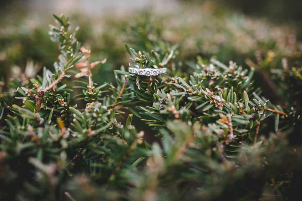 Propose at Rocky Mountain National Park