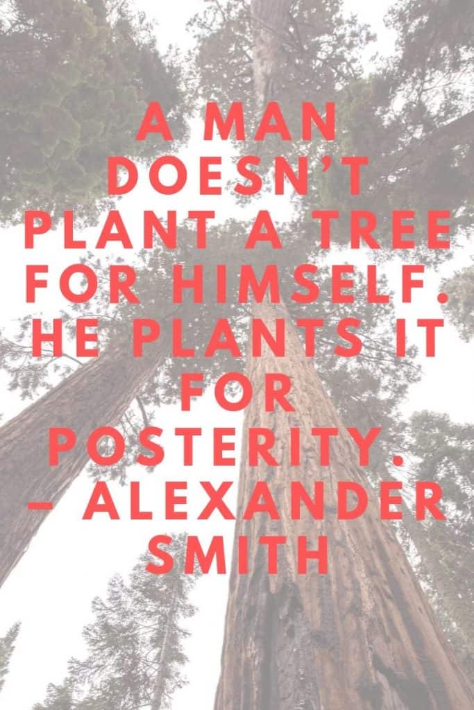 Tree Planting Quotes