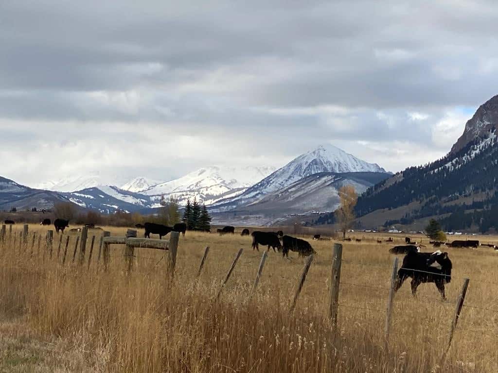 Colorado Road Trip Itinerary - Crested Butte