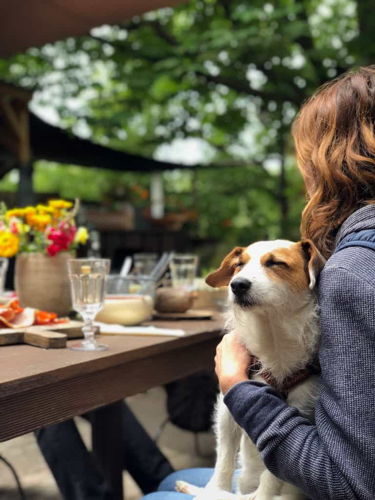 Dog friendly restaurants in Estes Park